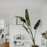 Преимущества Jax кондиционеров для Москвы