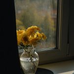 Советы по выбору Vaillant бризера для Москвы