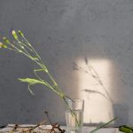 Выбор VRF системы NEOCLIMA мультисплит-система для Москвы