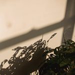 Выбор кондиционера Techno для московского климата