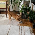 Где купить мультисплит систему на 2 блока в Москве