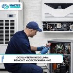 jorhd4pgjx_nnngpyx2l9